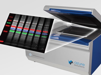 Western blot imaging systems